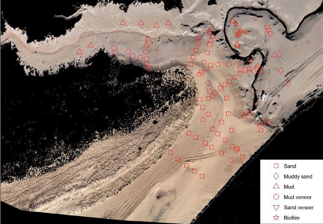 A sample image to measure sediment type