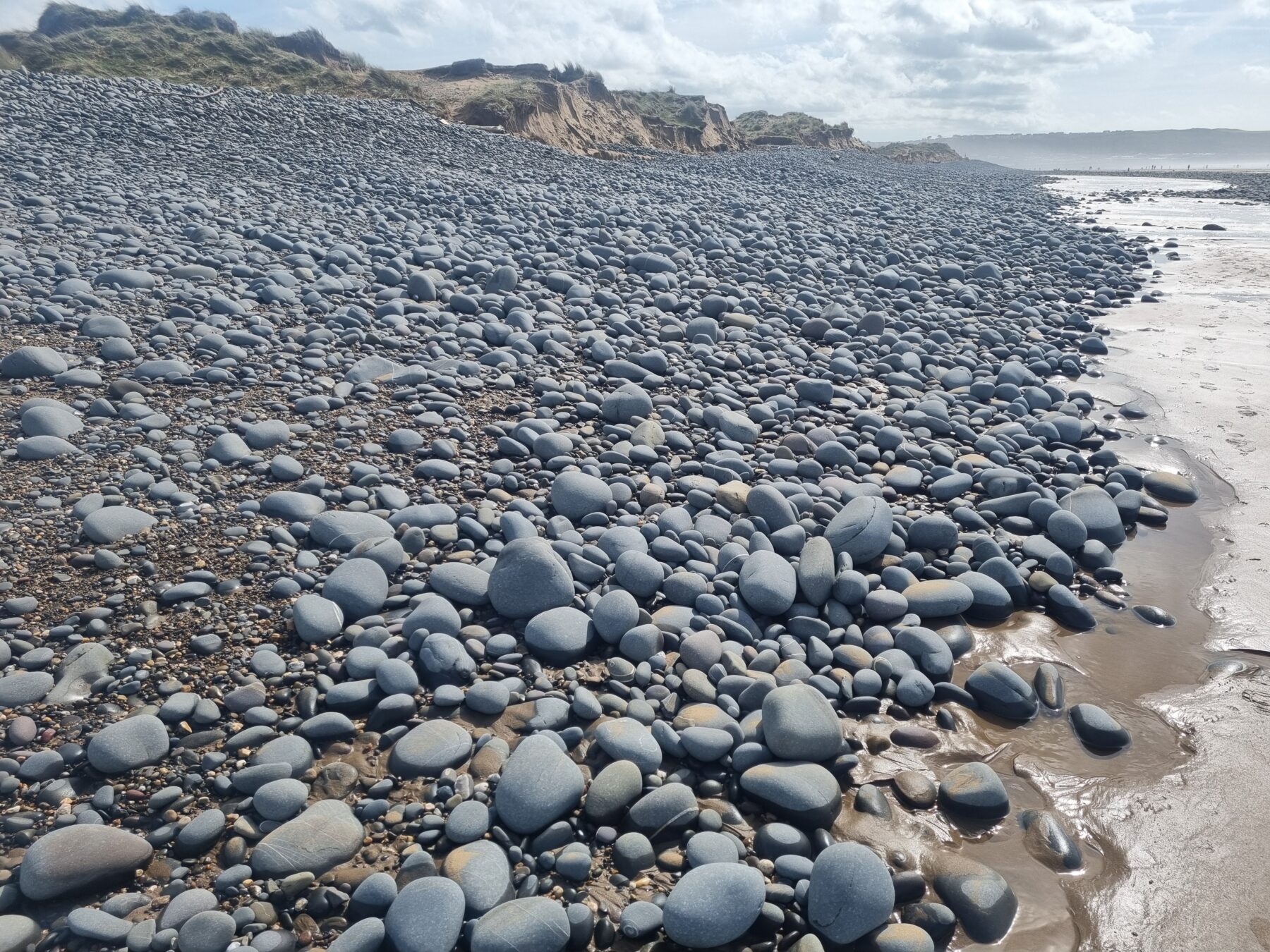 Westward Ho Beach Monitoring