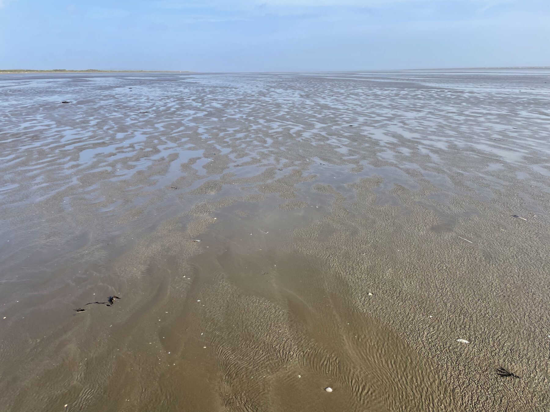 Pendine Beach Monitoring