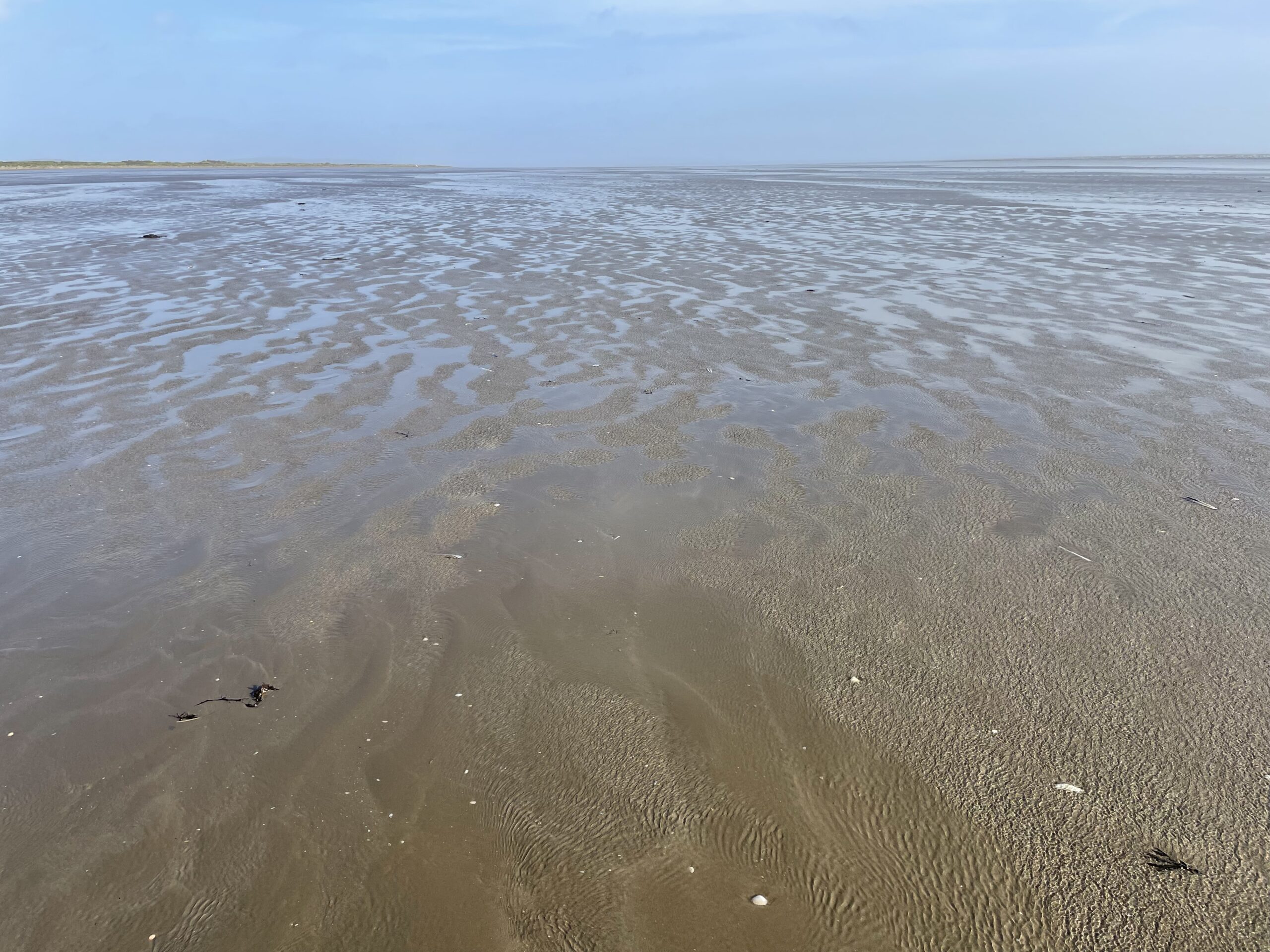 Pendine Beach Monitoring