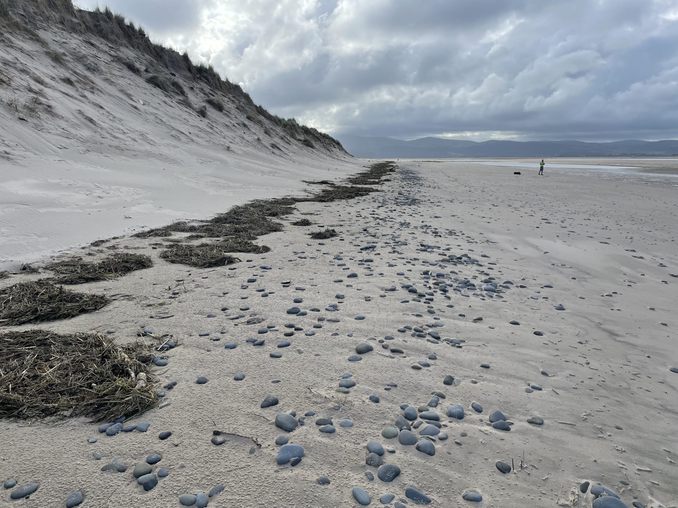 Aberydfi Beach Monitoring